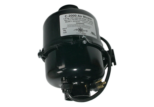 ASU3210131