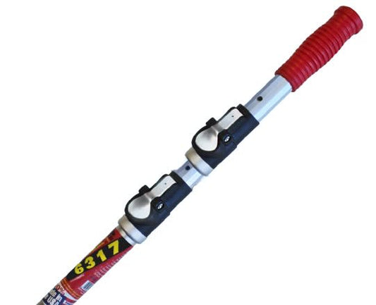 SKI6317
